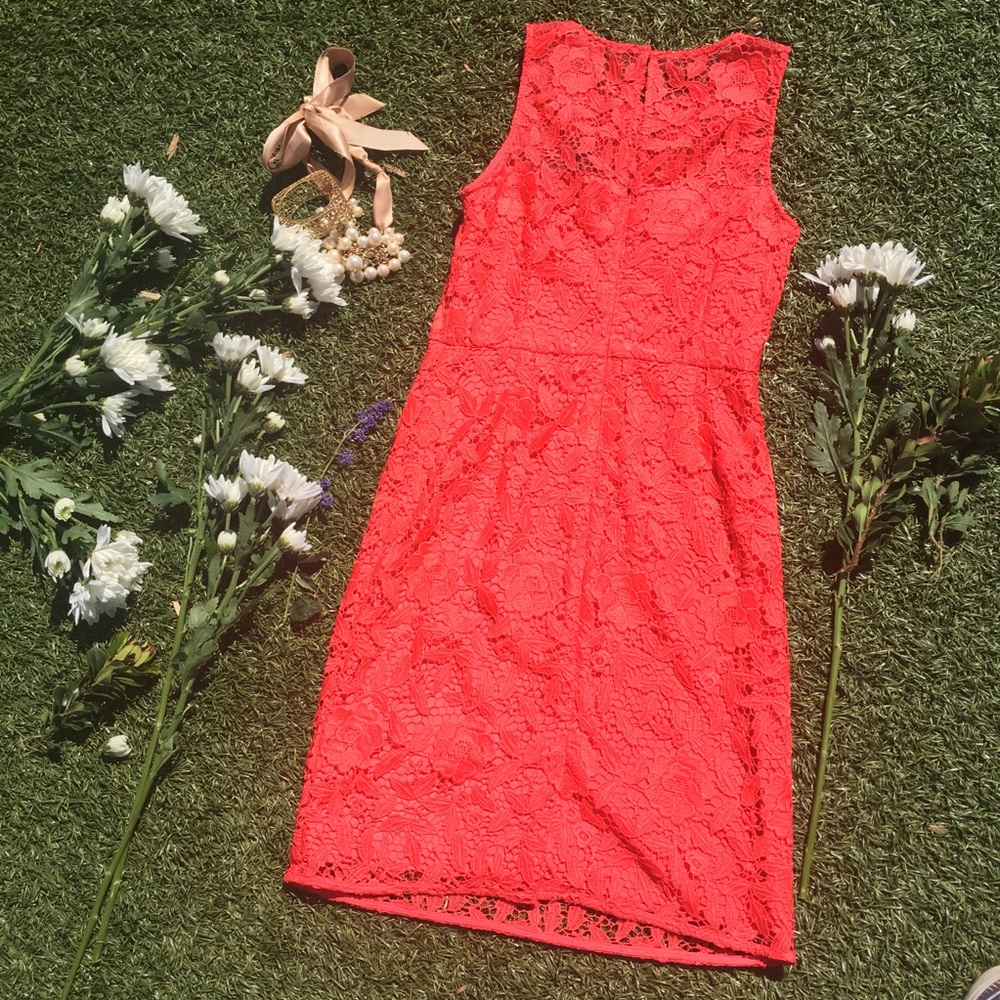 J. Crew Lace Sheath Dress in Orange 🍊